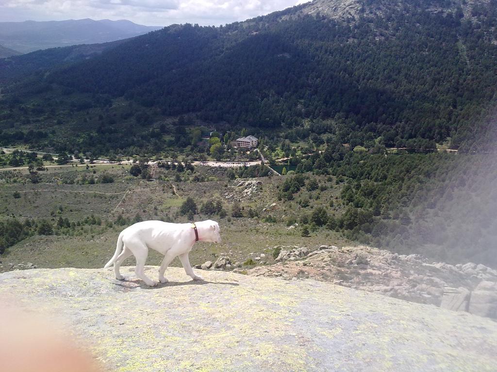 Hotel Rural Las Postas Navacerrada Luaran gambar